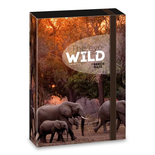 ARS UNA MÁTÉ BENCE THE EYES OF THE WILD A/5 FÜZETBOX