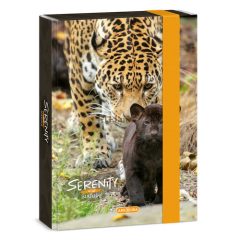 ARS UNA SERENITY-JAGUAR A/5 FÜZETBOX